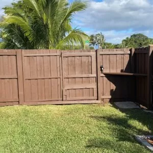 Fence Painting